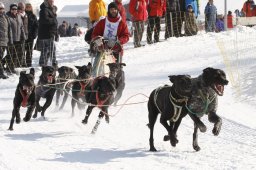 Lenk 2012 SM